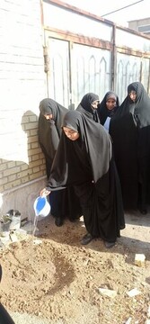 تصاویر/ کاشت چند اصله نهال در قالب پویش در سایه مادر در مدرسه علمیه حضرت (س)سنجان