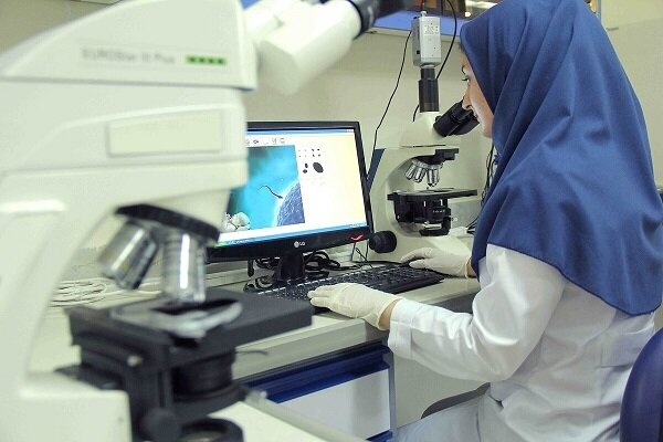 سهم ۱۴ درصدی زنان ایرانی در گزارش‌های پژوهشگران پر استناد