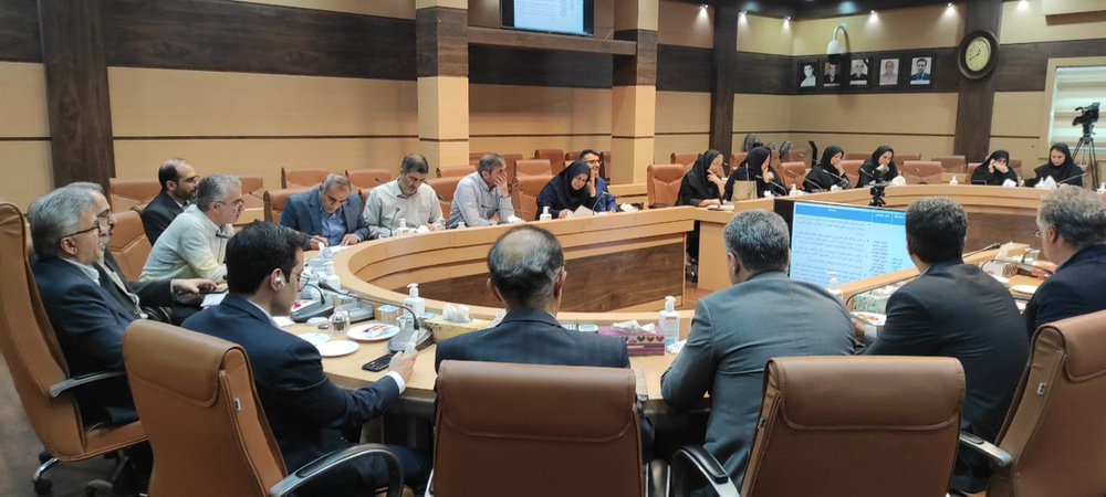 «فرزندآوری» مأموریت شرعی، ملی و بهداشتی