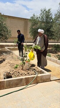 افتتاح نارنجستان حضرت زهرا(س) در مهریز