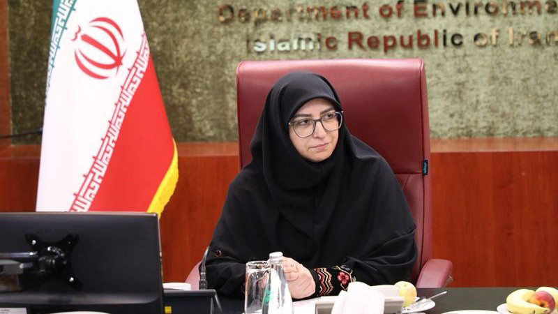 حل معضلات زیست‌محیطی بدون مشارکت زنان و بخش خصوصی امکان‌پذیر نیست