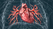 علائم قلبی در زنان خاموش‌تر است