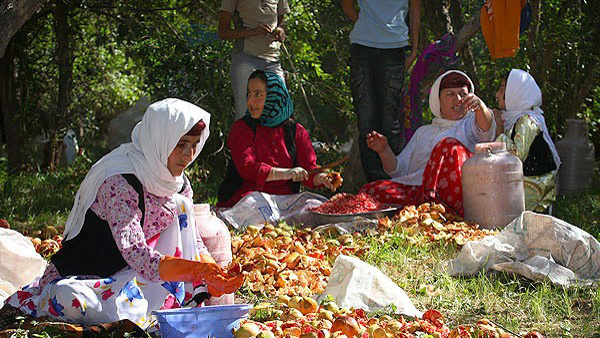 صندوق‌های خرد زنان روستایی گلستان به صادرات رسیدند