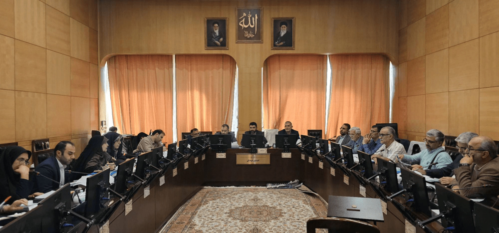 وزارت بهداشت آیین‌نامه مرتبط با روش‌های نوین بارداری را سریع‌تر نهایی کند