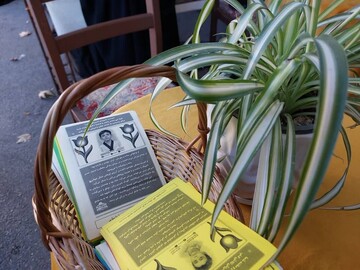 مدیریت حوزه علمیه خواهران استان مازندران