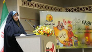 آغاز اجرای طرح ملی سفیران بهینه‌سازی مصرف انرژی در زنجان با تمرکز بر بانوان و کودکان