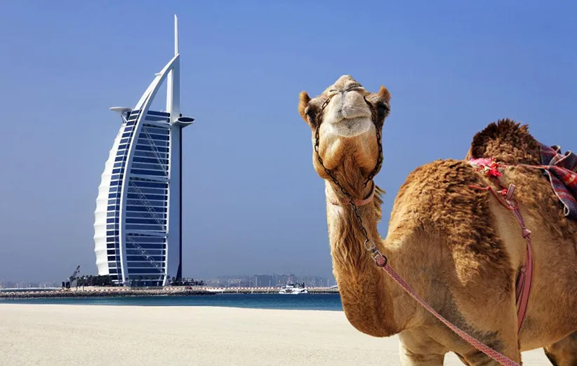 دبی، خانه عروسکی...