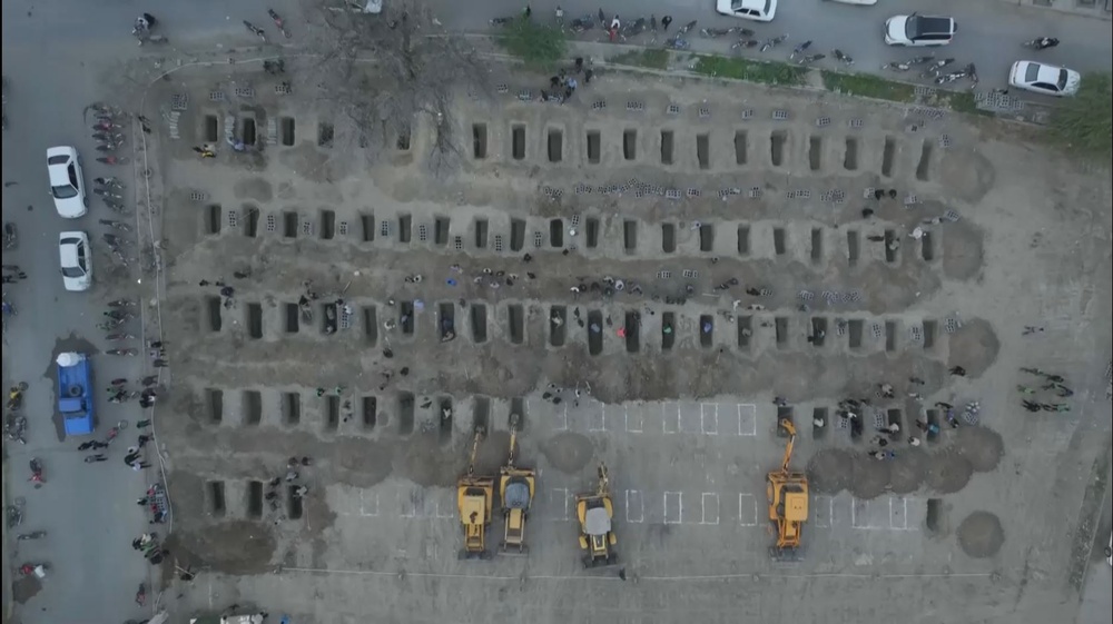 فیلم | لاله‌های میناب