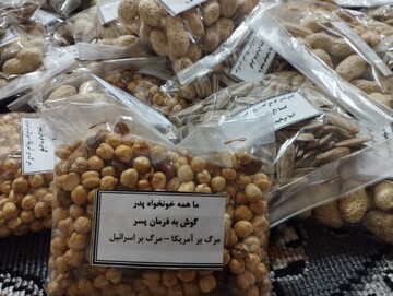 تصاویر/ فعالیت مدارس علمیه خواهران استان هرمزگان در حماسه جنگ رمضان