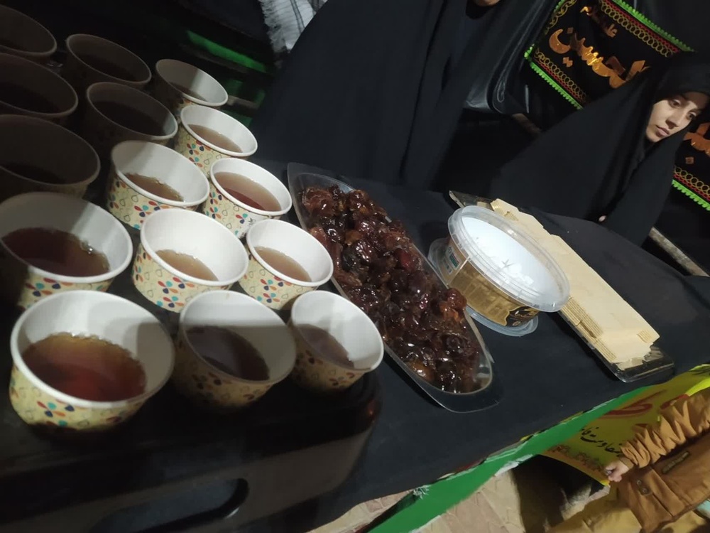 موکب حوزه الزهرا پلدختر