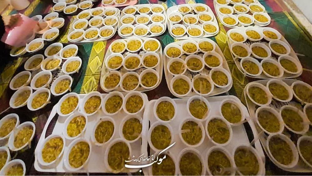 فعالیت‌های طلاب خواهر شهرستان کوهدشت در هفته دوازدهم جنگ تحمیلی سوم