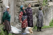 ۷۱ هزار زن سرپرست خانوار در روستاها و شهرهای زیر ۲۰ هزار نفر بیمه می‌شوند