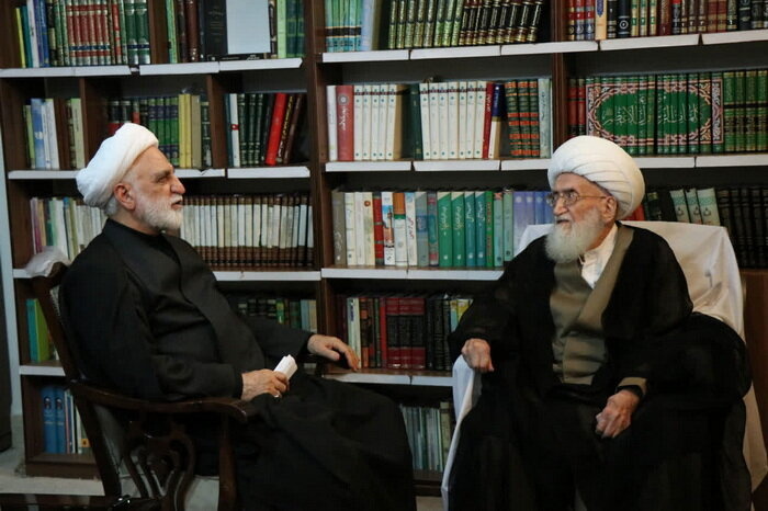 تاکید آیت الله نوری همدانی بر لزوم برخورد قاطع با اخلالگران امنیت و اقتصاد