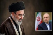 دیدار رئیس مجلس شورای اسلامی با رهبر معظم انقلاب